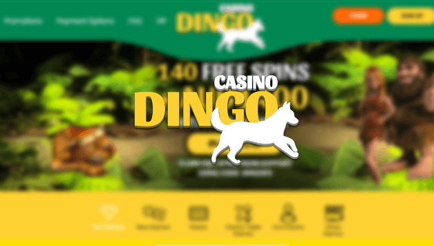 Dingo